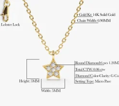 14K Gold Diamond Star Charm Necklace