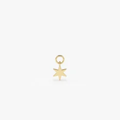 14k Solid Star Hoop Charm